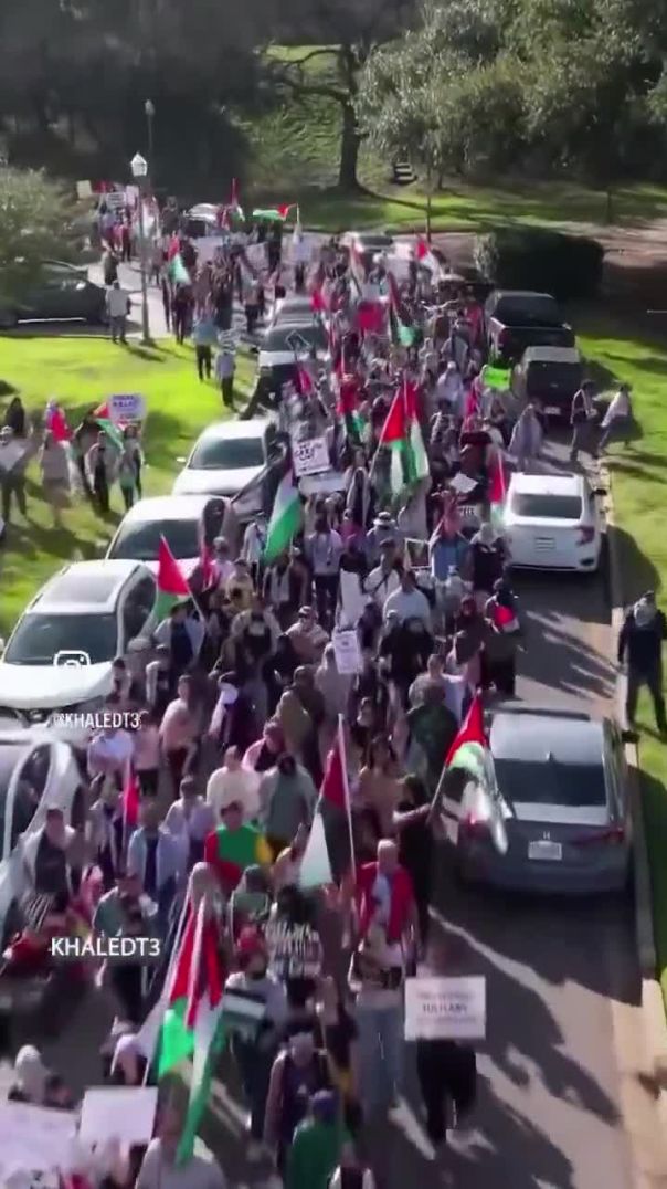 مسيرة تكساس من اجل فلسطين